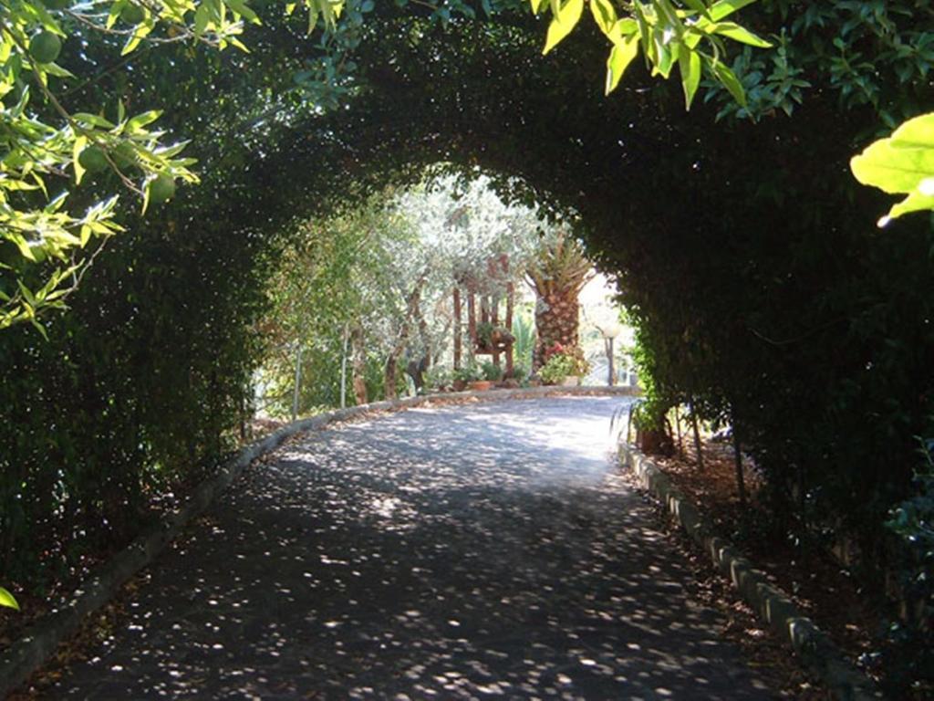 Villa L'Uliveto Montebuono  Exterior foto